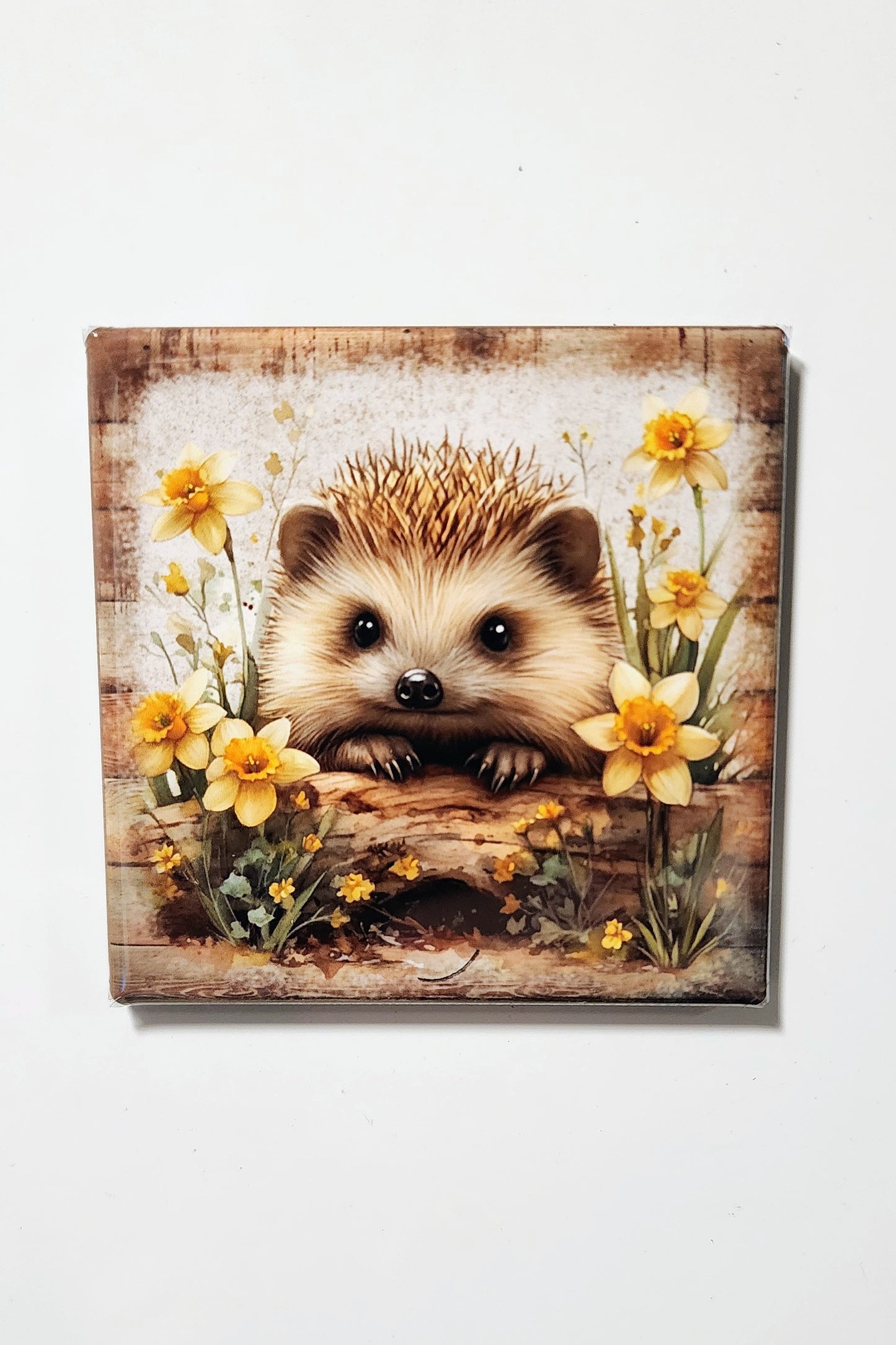 Hedgehog Magnets
