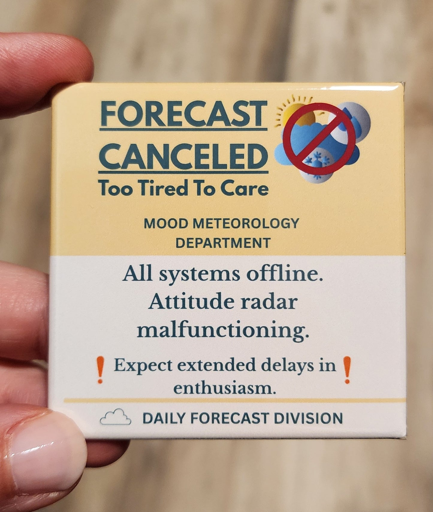 Mood Meteorology Department Funny (or True!) Magnets