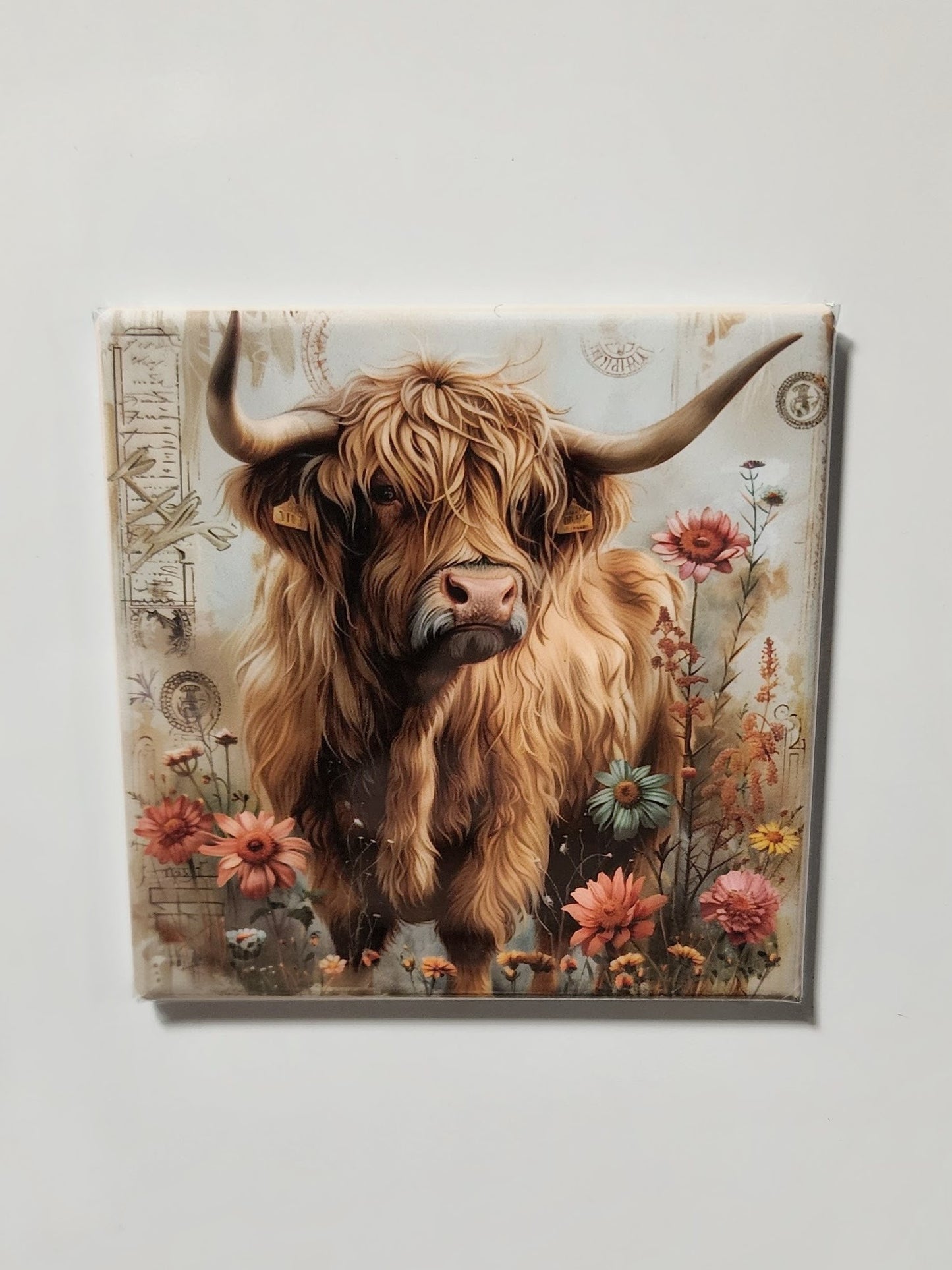 Highland Cow Magnets