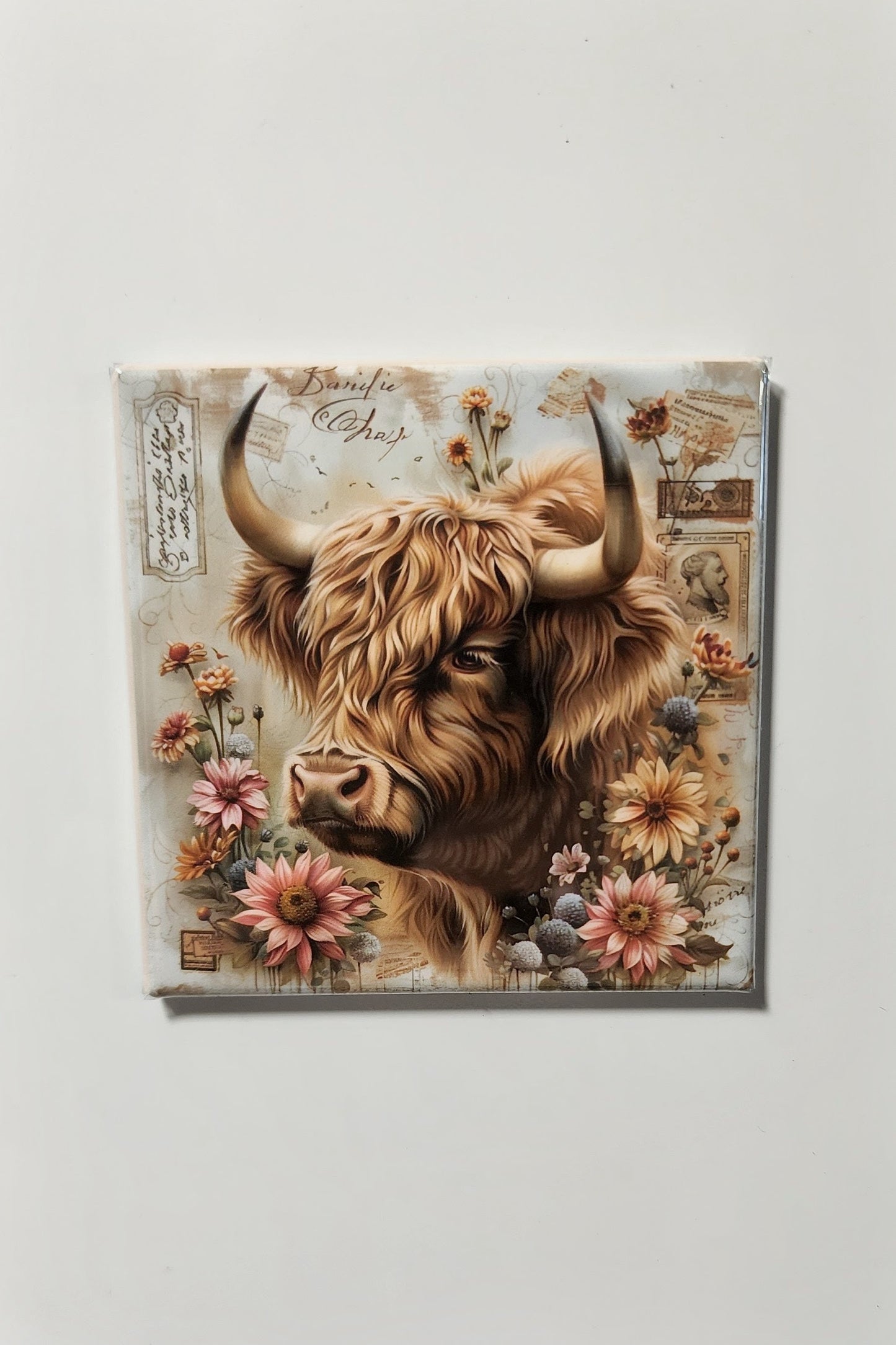 Highland Cow Magnets