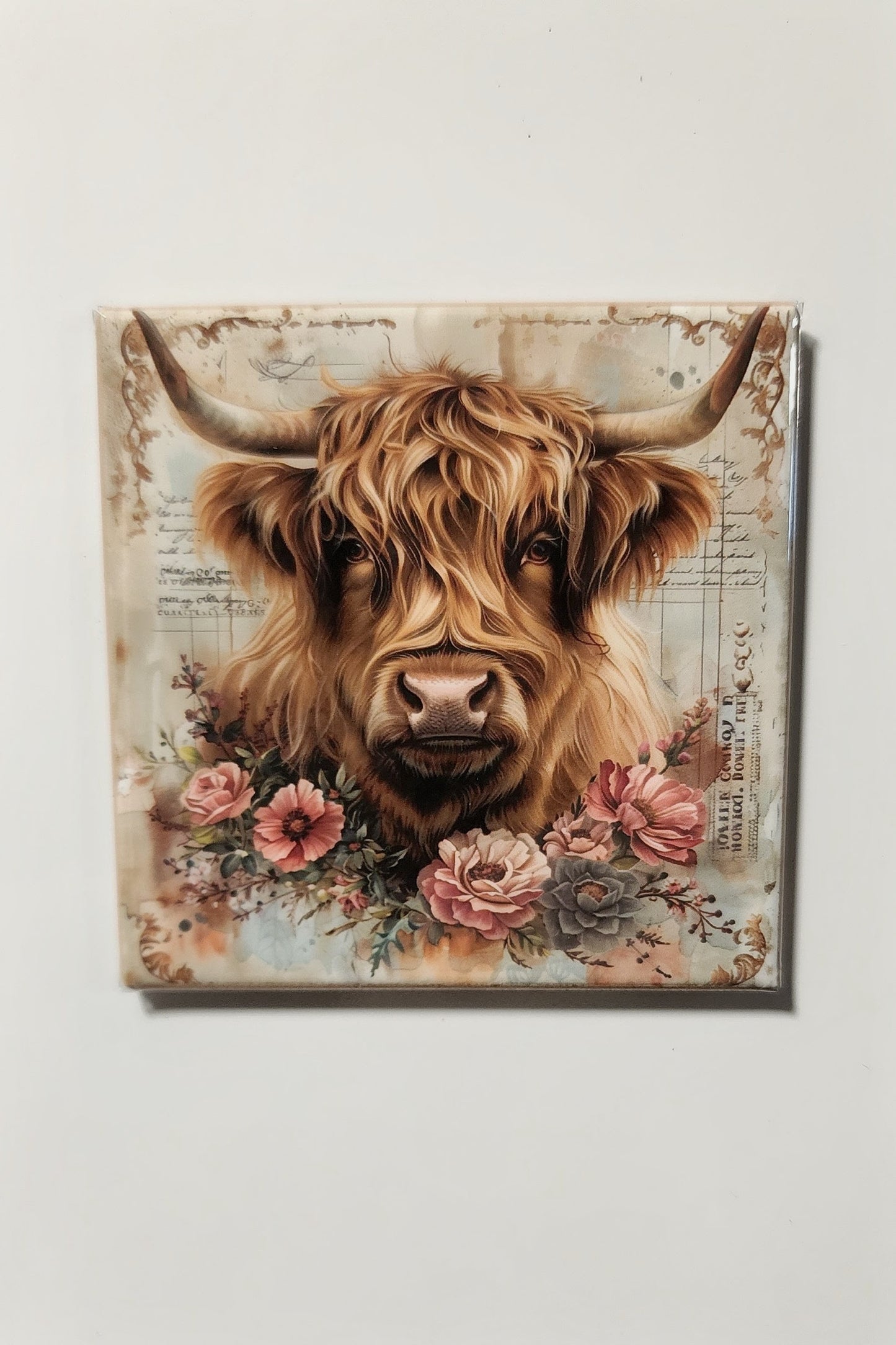 Highland Cow Magnets
