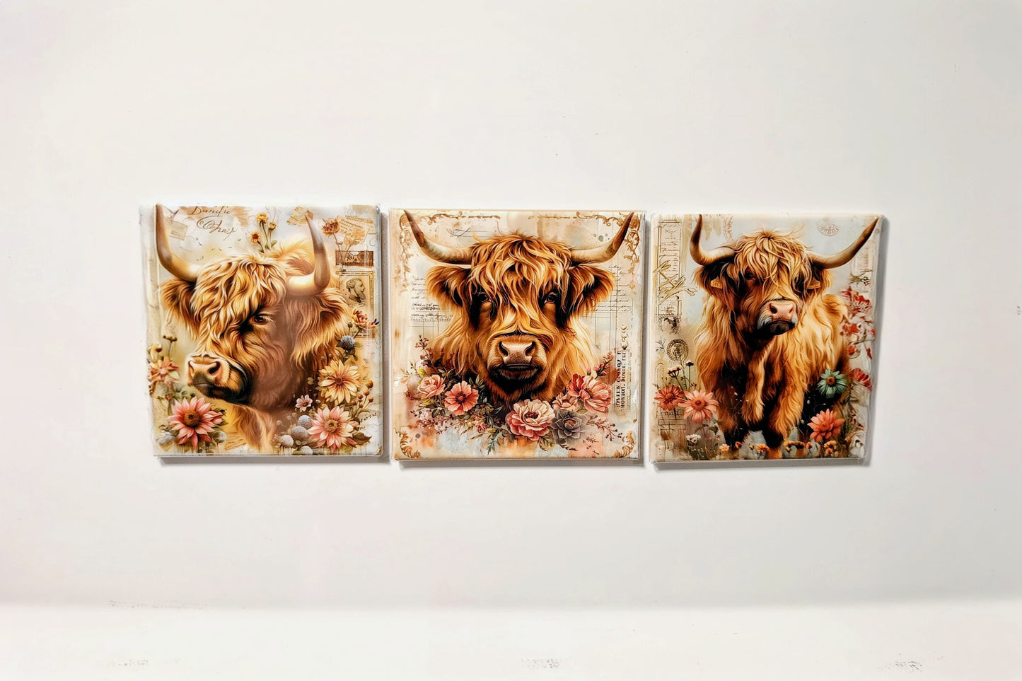 Highland Cow Magnets