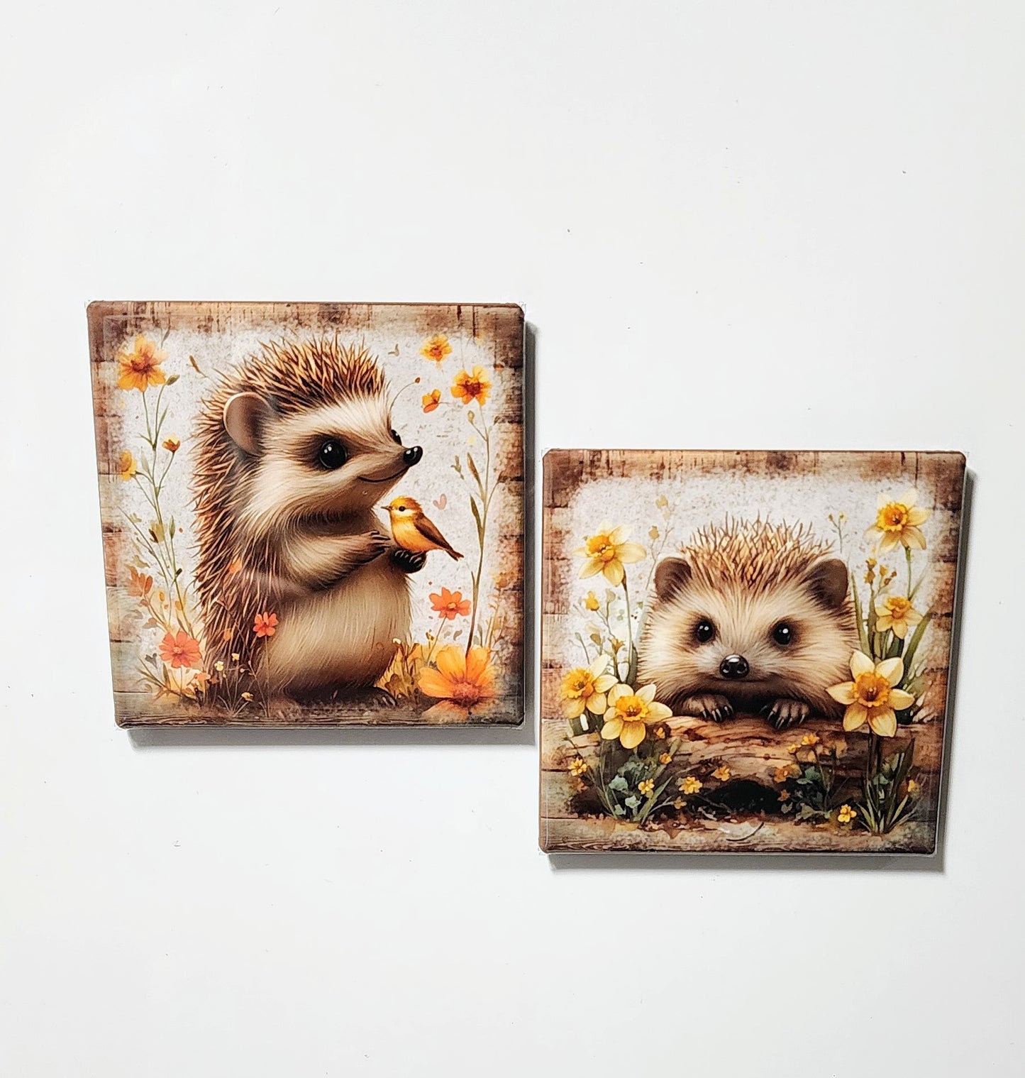Hedgehog Magnets