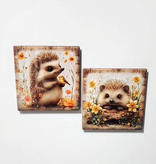 Hedgehog Magnets