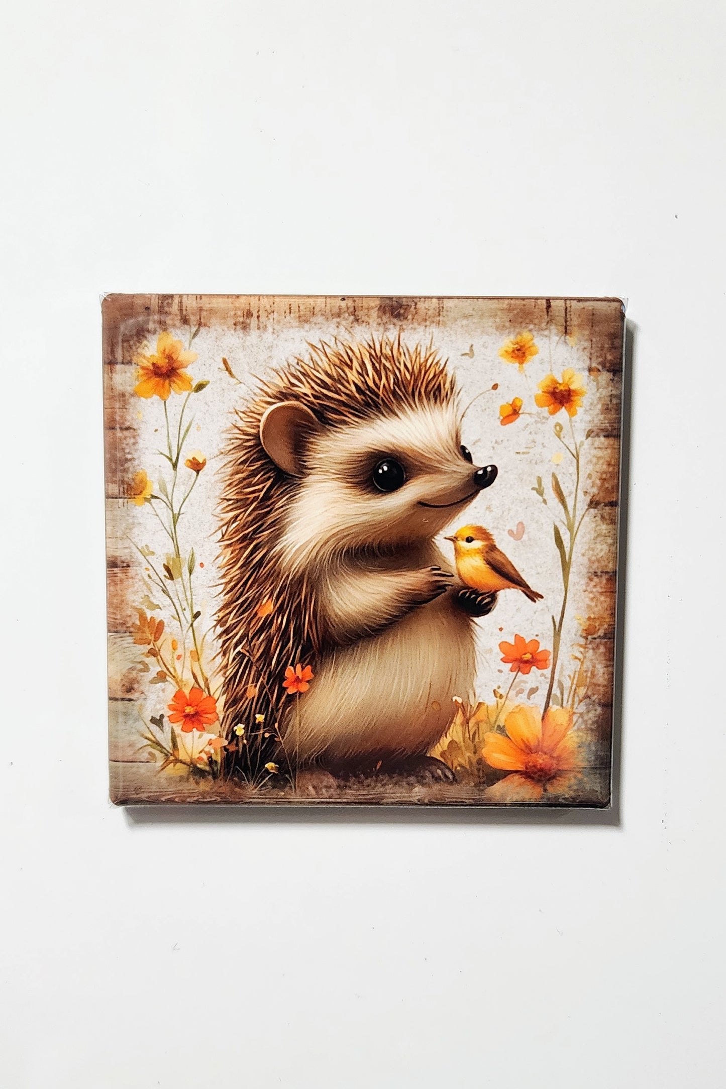 Hedgehog Magnets