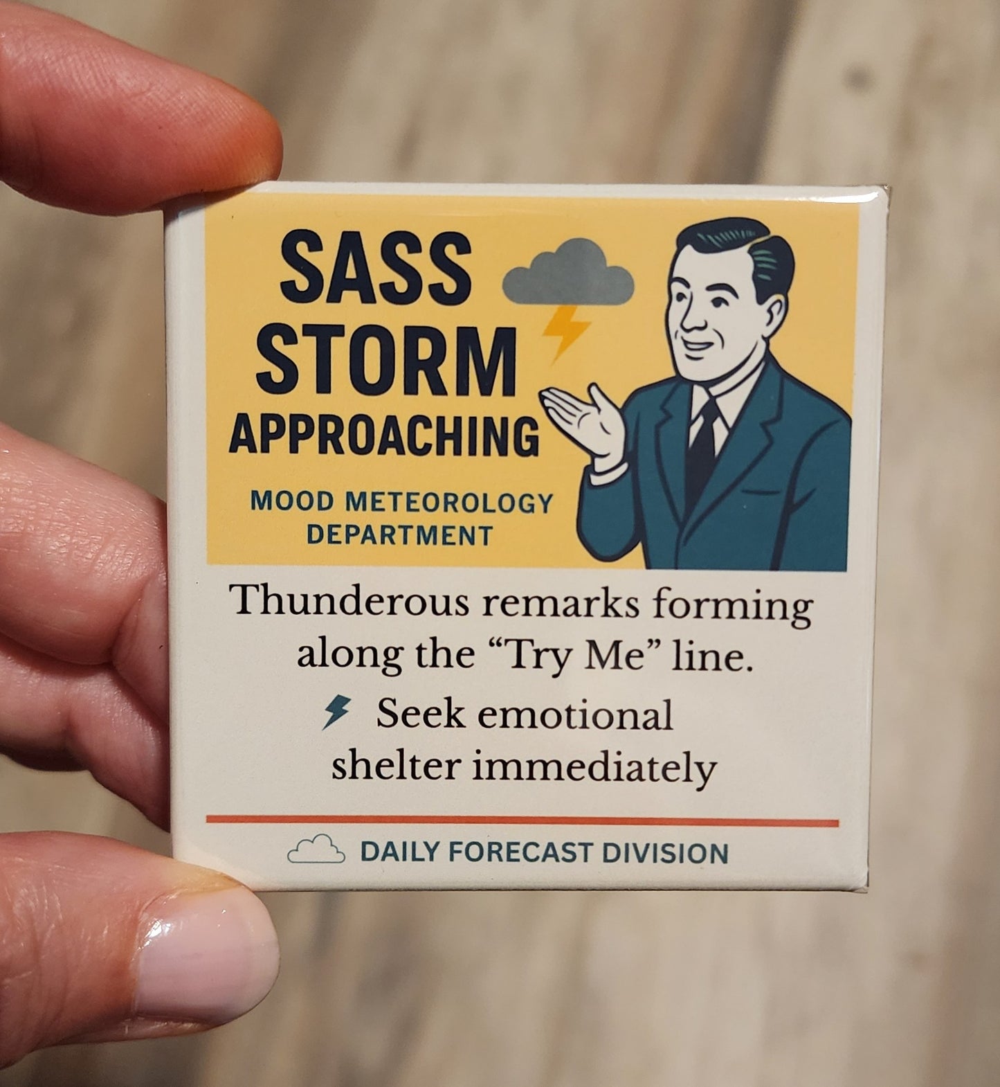 Mood Meteorology Department Funny (or True!) Magnets