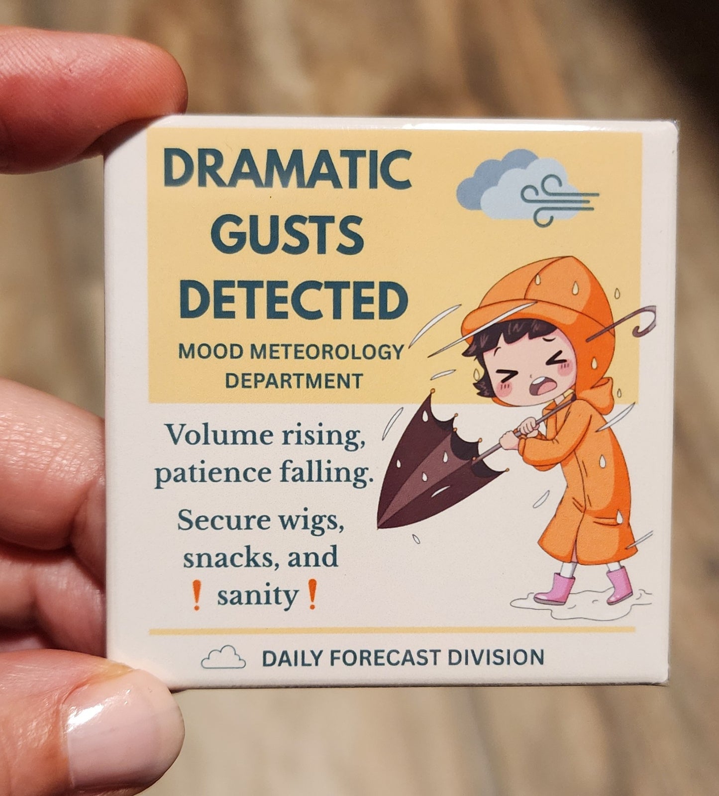 Mood Meteorology Department Funny (or True!) Magnets