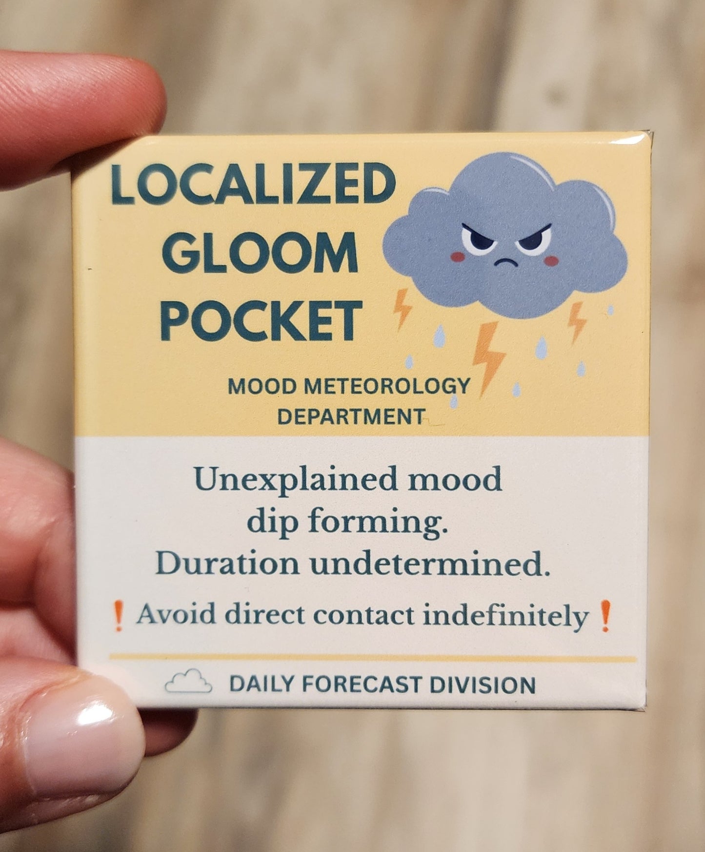 Mood Meteorology Department Funny (or True!) Magnets